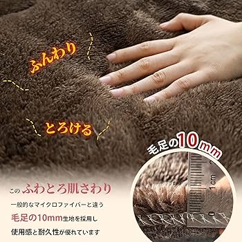 Amazon｜【帝人TEIJINマイティトップ中わた】掛け布団 シングル アルミ